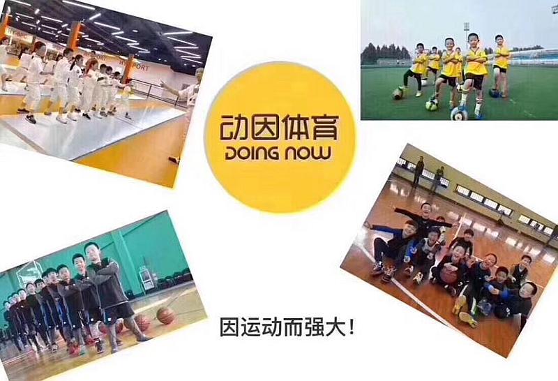 活动-全武汉——动因体育篮球/羽毛球免费体验课火热报名中！