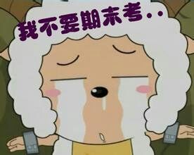 活动-期末考辅导免费咯!!