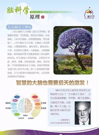 活动-寒假来啦!提升孩子的专注力、记忆力的《超级训练班》报名中