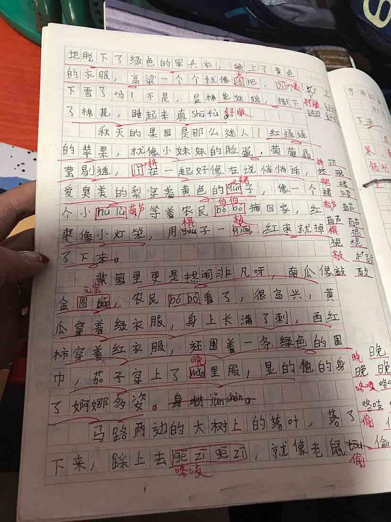 活动-旋风教育春季招生开始啦!!!