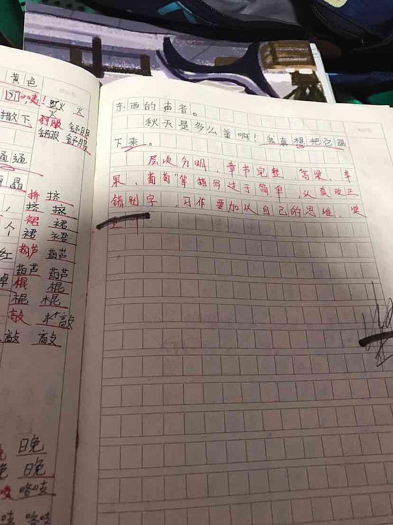 活动-旋风教育春季招生开始啦!!!