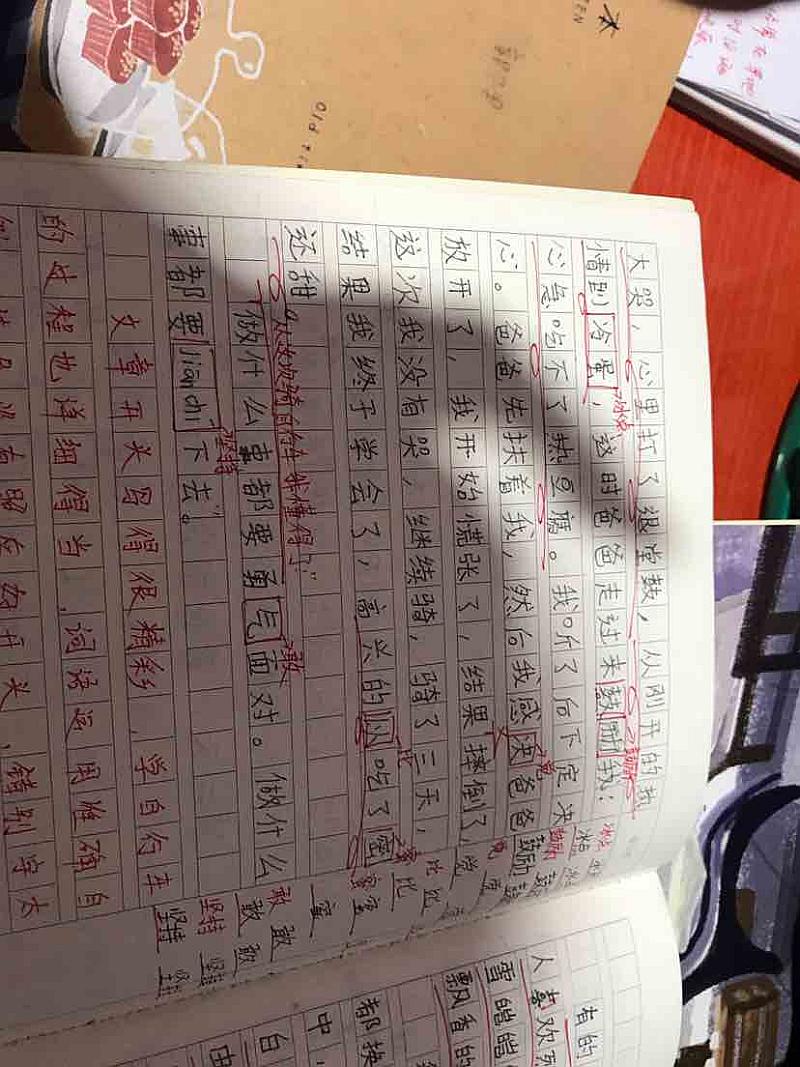 活动-旋风教育春季招生开始啦!!!