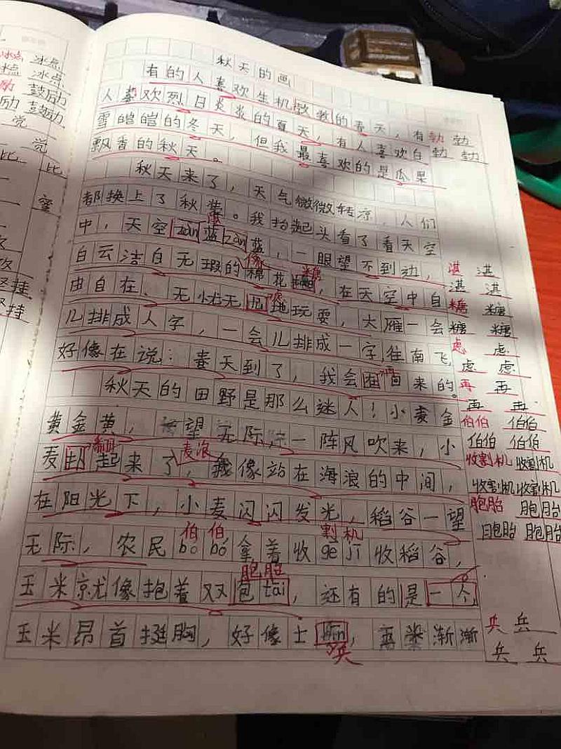活动-旋风教育春季招生开始啦!!!