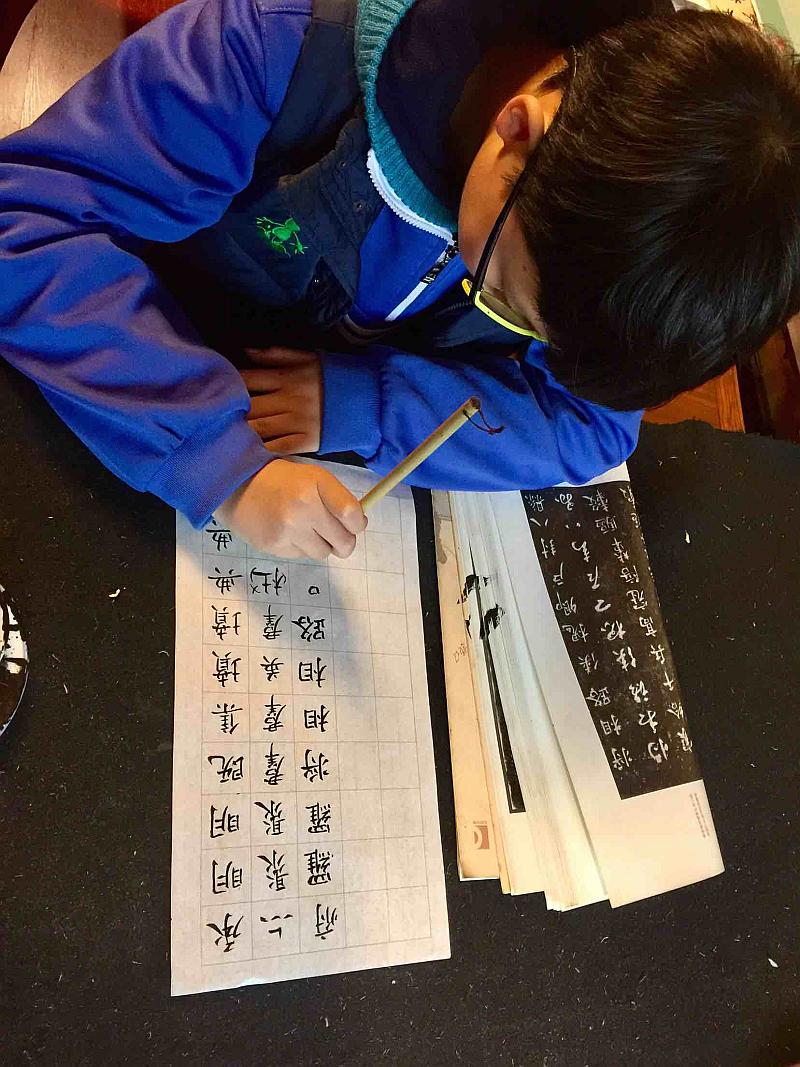 活动-湖南-艺欣书法馆----《暑假第四期5天免费书法练字集训营》火热招生中