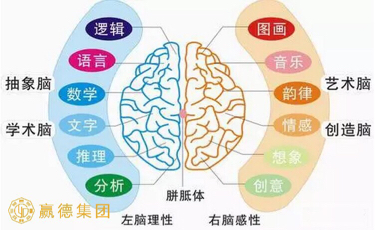 活动-价值19800元《思维导图大师班》仅收场地费200元,今年最后一次