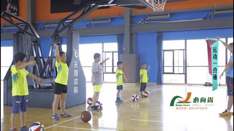 活动-心向尚天翔校区篮球体验课