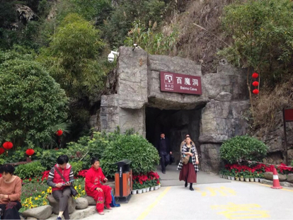 活动-夏日的清凉世界——广西乐业草王山邀请