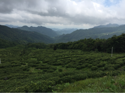活动-夏日的清凉世界——广西乐业草王山邀请