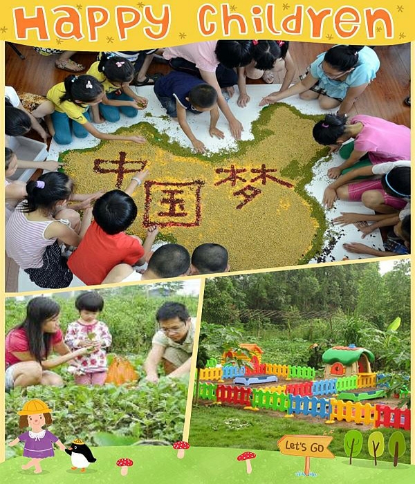 活动-蔬菜采摘第二季相约罕台去种地