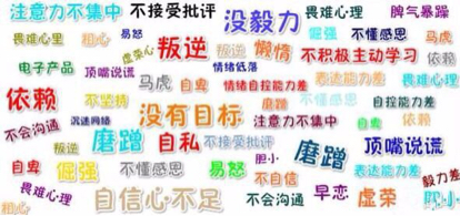 活动-提高小学生注意力，读写力，学习能力，开启学霸模式……