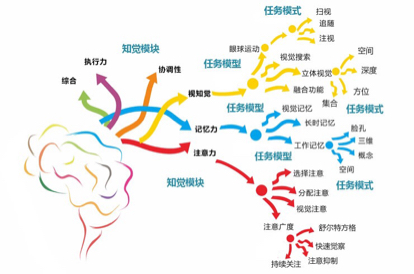活动-提高小学生注意力，读写力，学习能力，开启学霸模式……