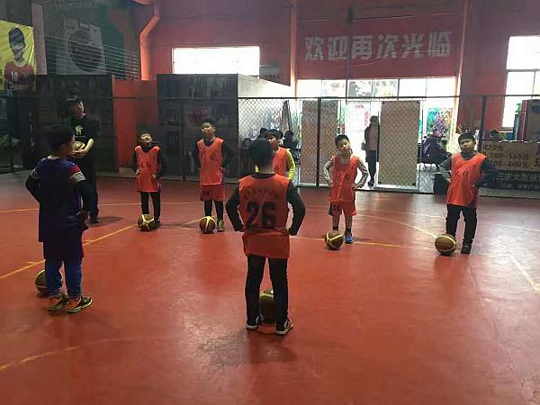 活动-锡城小学生免费篮球公开课