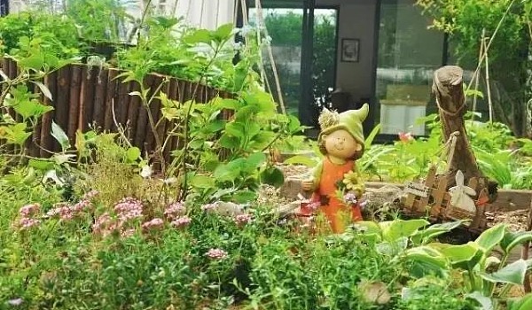 社区朴门种植课程